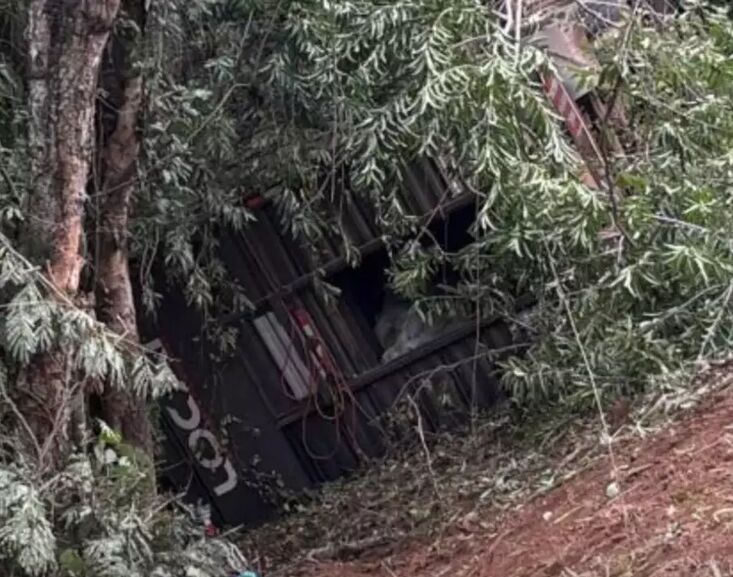 Motorista fica em estado grave após cair com carreta boiadeira em ribanceira