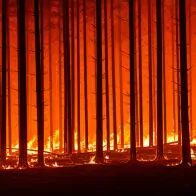 Mato Grosso do Sul decreta emerg&ecirc;ncia ambiental por 180 dias para prevenir inc&ecirc;ndios florestais