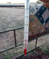 Geada atinge 12 munic&iacute;pios de MS ap&oacute;s madrugada com m&iacute;nima de 1&deg;C 