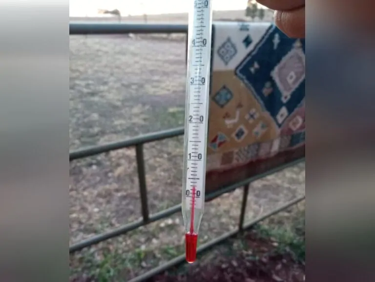 Geada atinge 12 munic&iacute;pios de MS ap&oacute;s madrugada com m&iacute;nima de 1&deg;C 