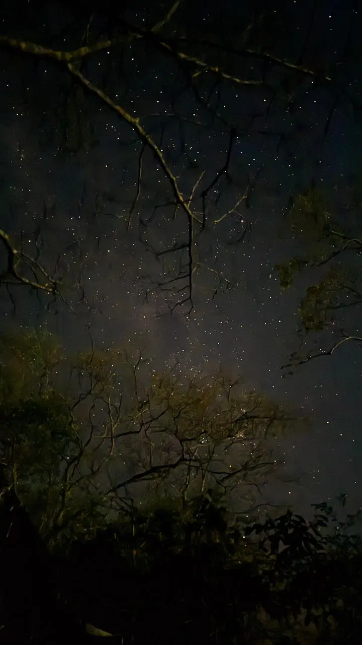 Fotogaleria: veja o c&eacute;u de Cassil&acirc;ndia na noite desta sexta-feira (03/07)