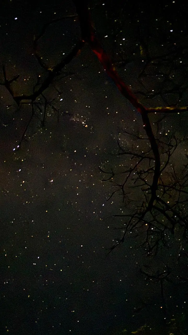 Fotogaleria: veja o c&eacute;u de Cassil&acirc;ndia na noite desta sexta-feira (03/07)